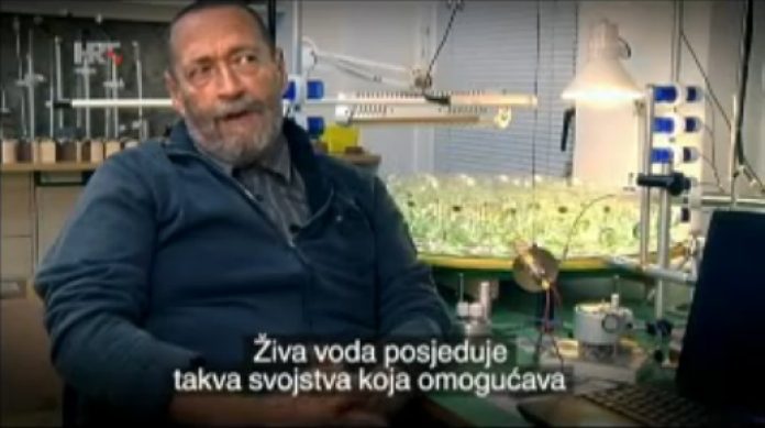 Voda Misteriji Zivota