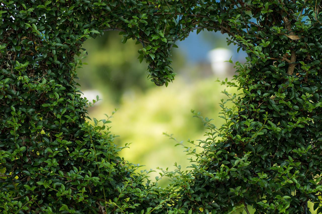 heart gf323bc5ee 1280