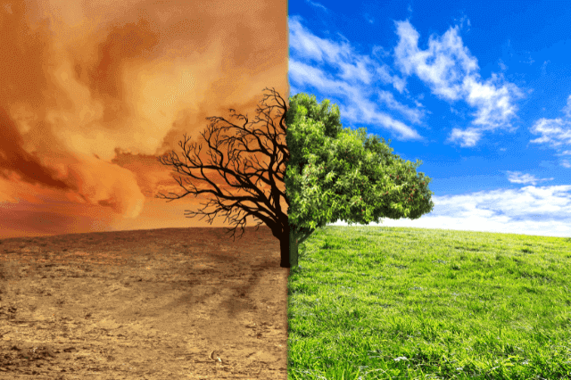 kako postići pozitivne životne promjene